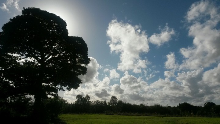 Nature in London 
