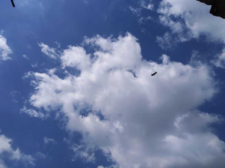 Sky