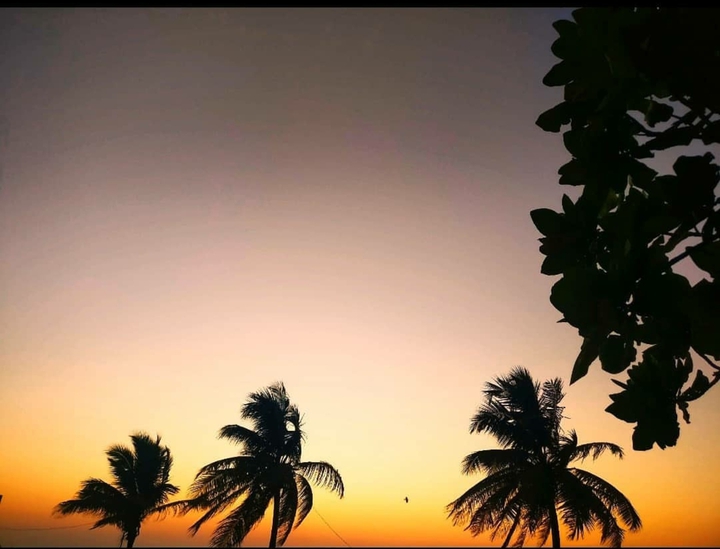 Evening Sky