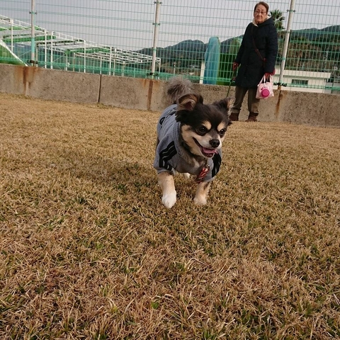 jump