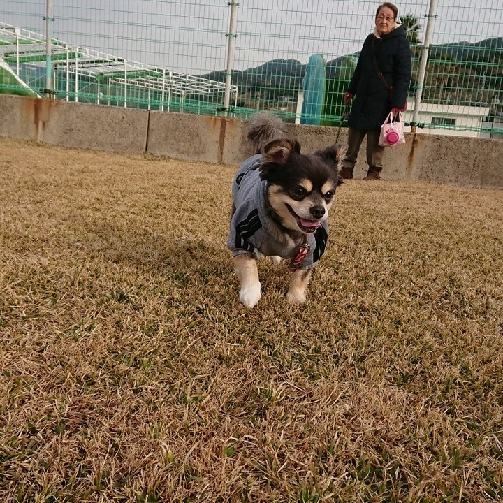jump