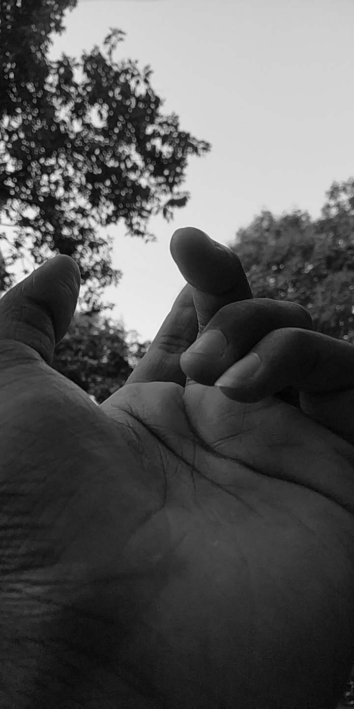 Hold my hand