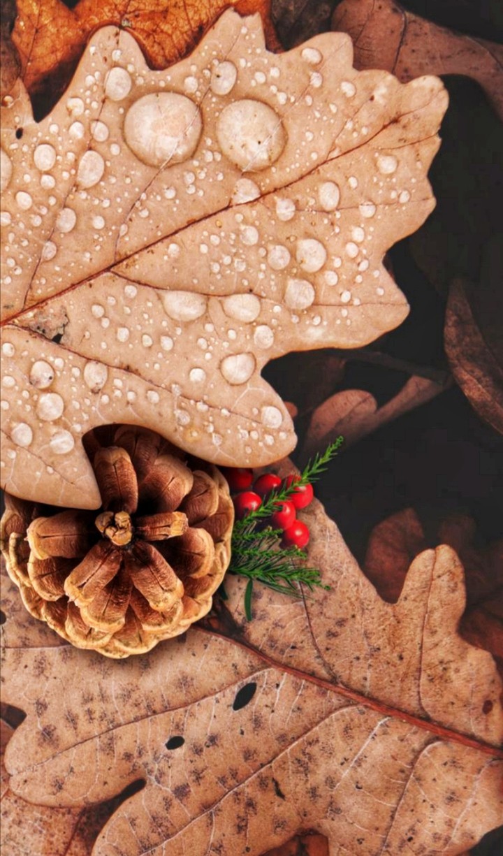 Automne
