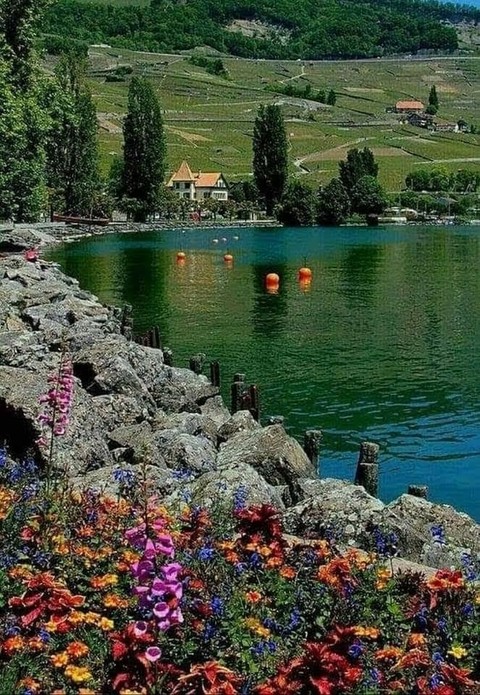 Nature
