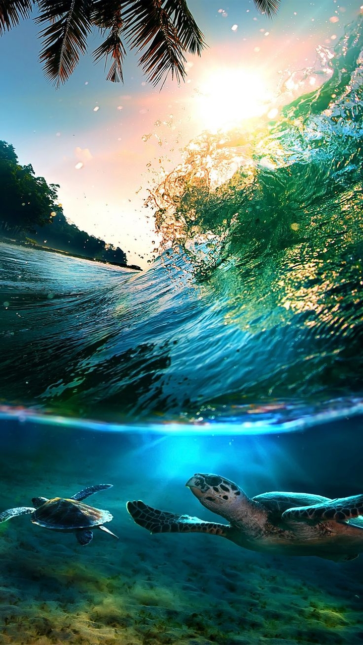 nature