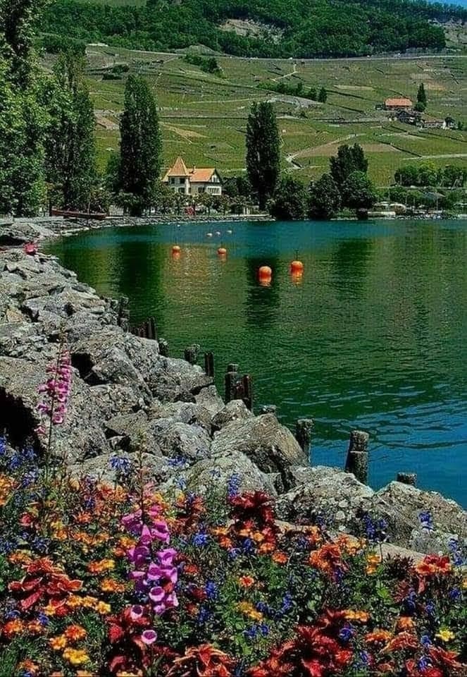 Nature