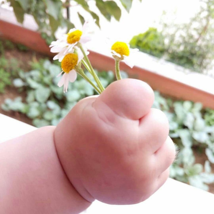 ?☺?☺?☺