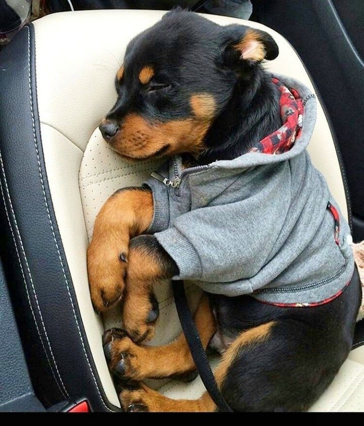 ❤