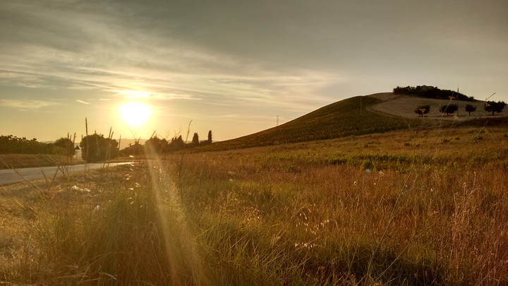 Hills