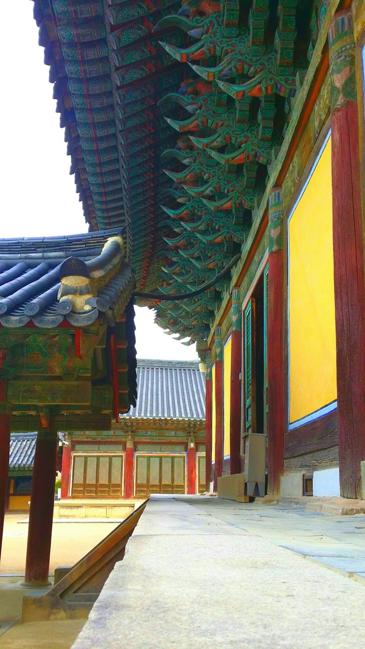 시선