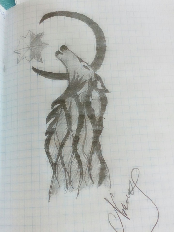 Wolf and moon