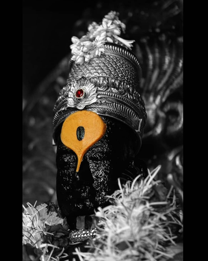 shri vitthal