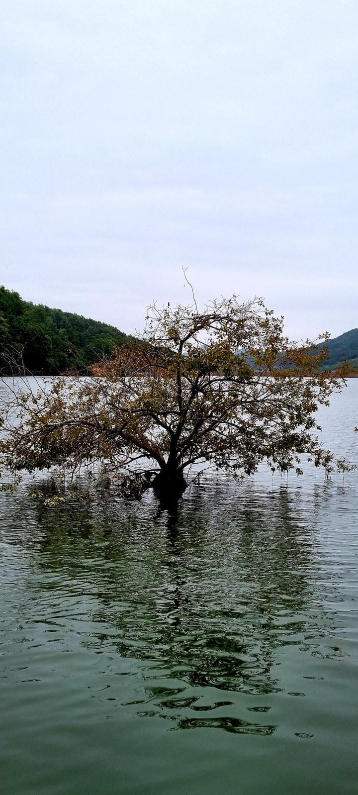 가을