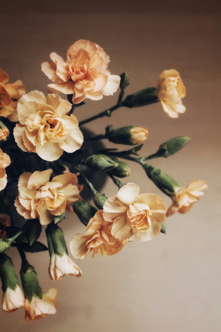 roses