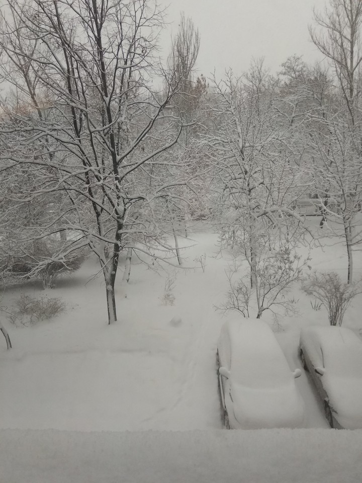 winter