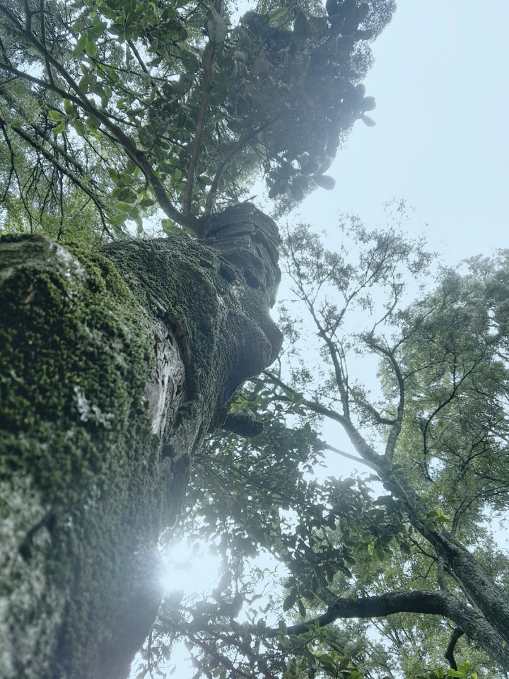 Natural