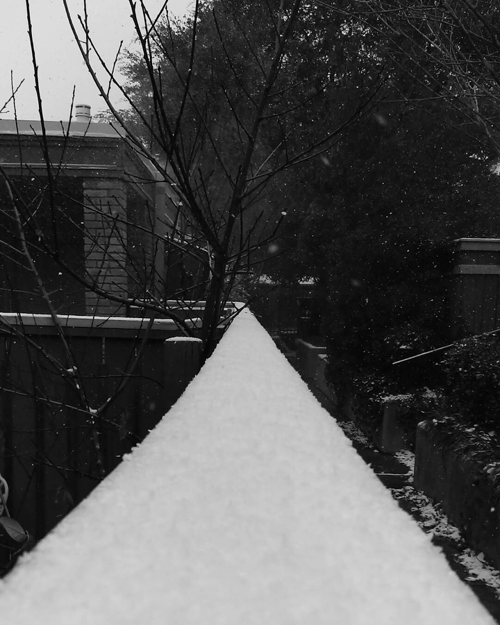 snow