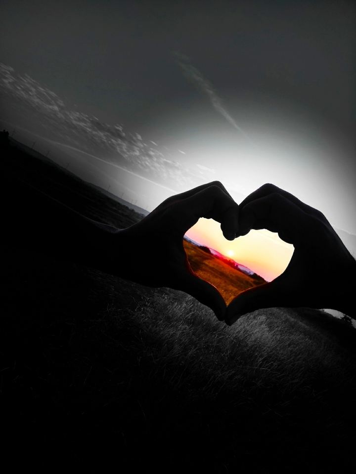 love