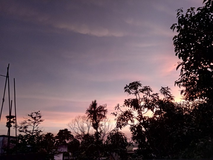 beautiful evening