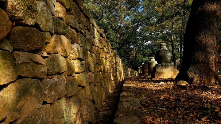 돌담