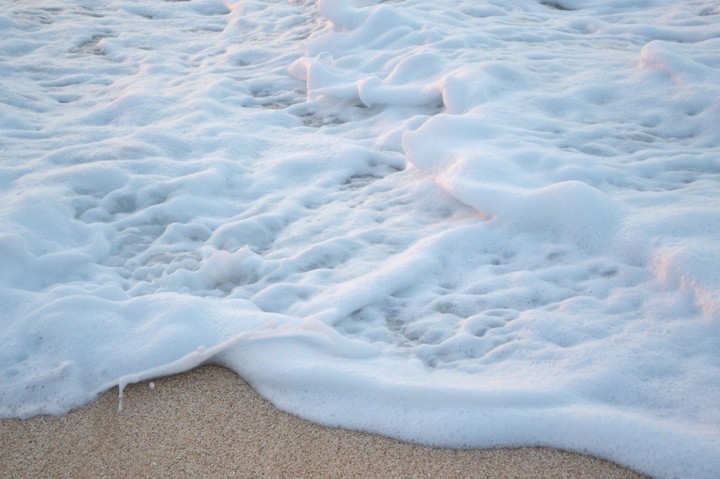 Foam