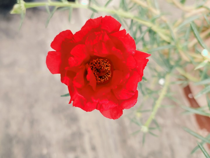 #naturebeauty
