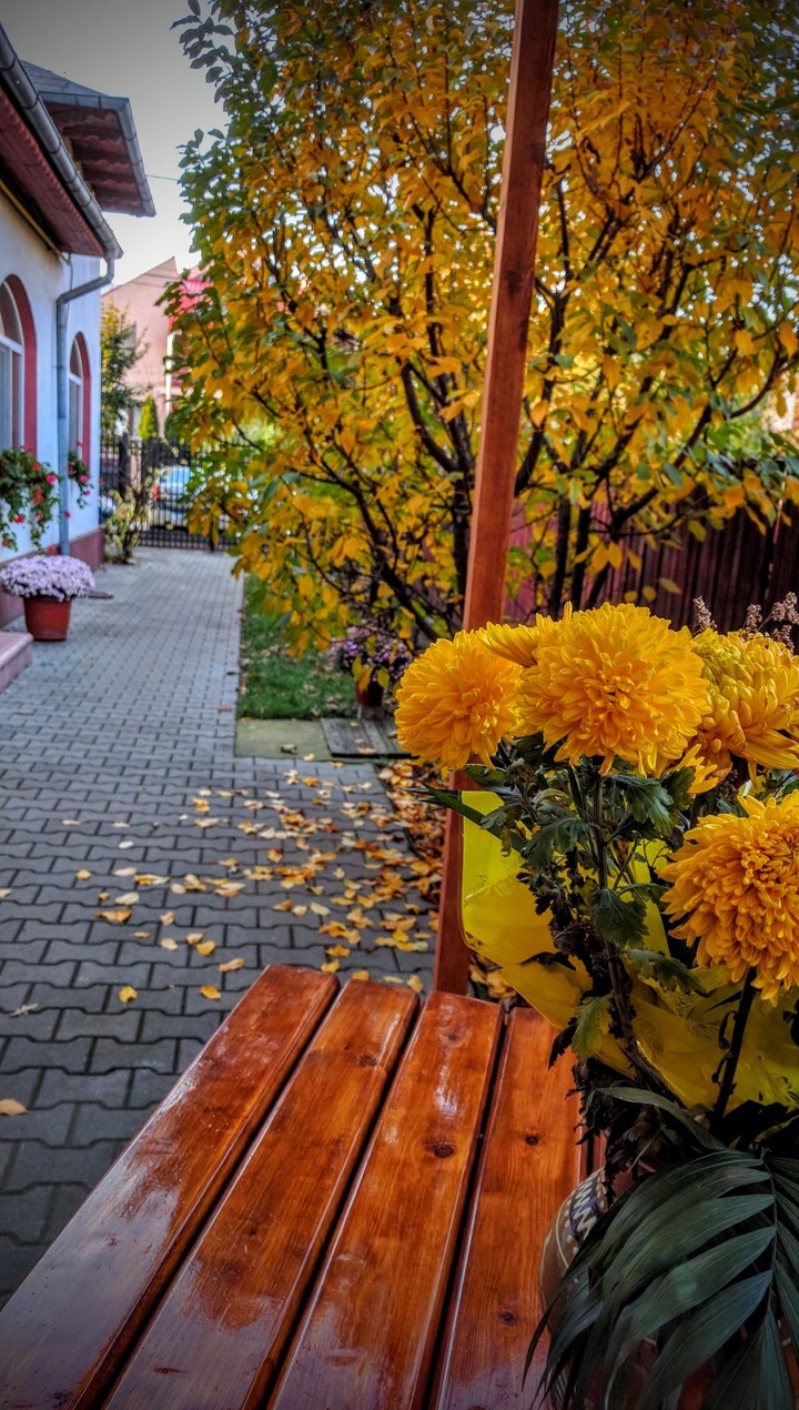 Autumn