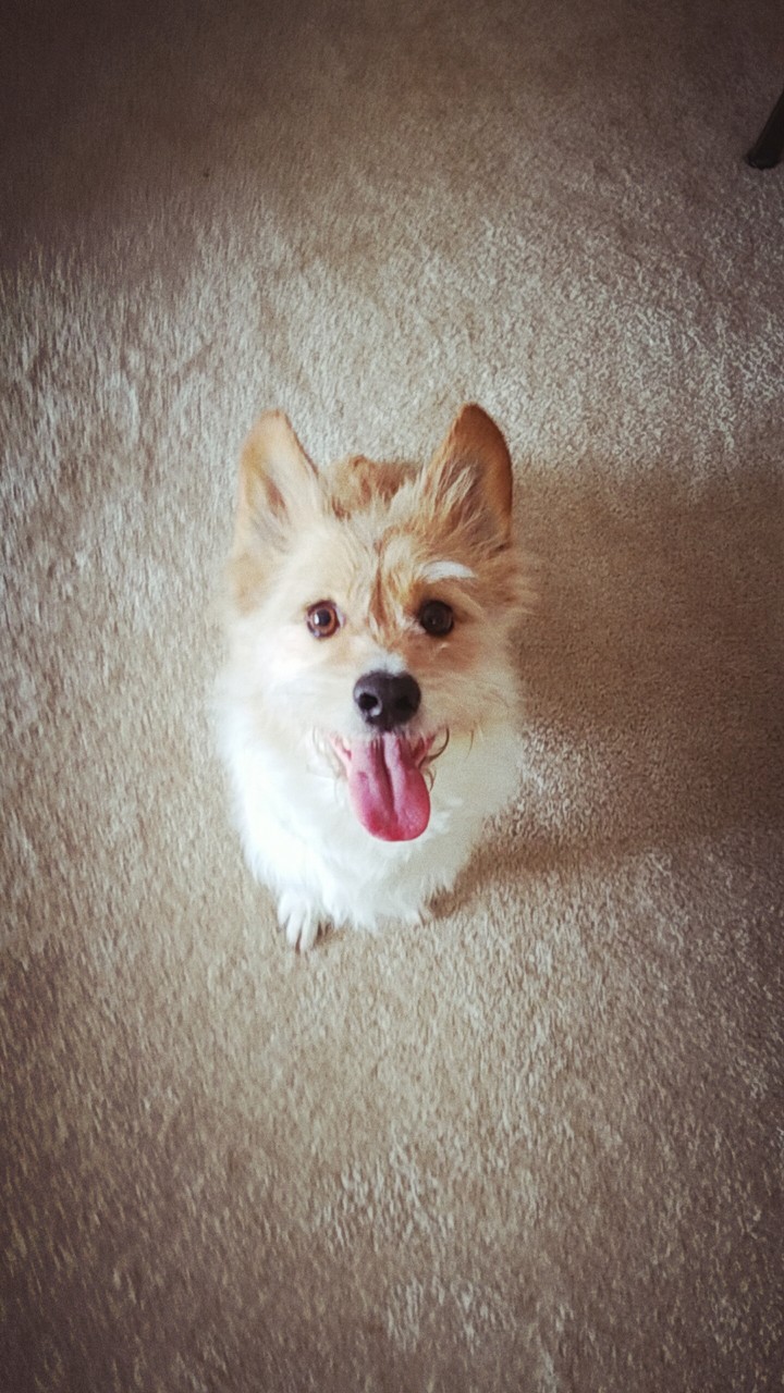 Mo