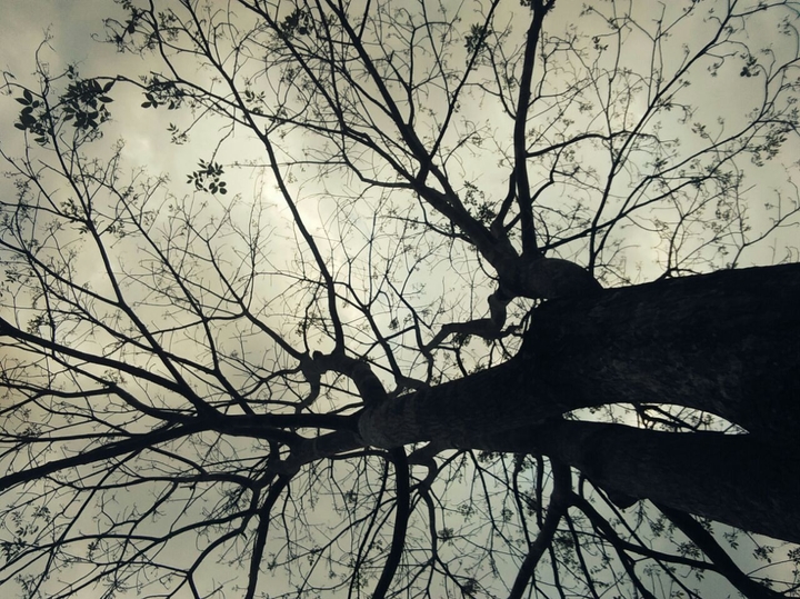 a beautiful end for a beautiful beginning #mob click