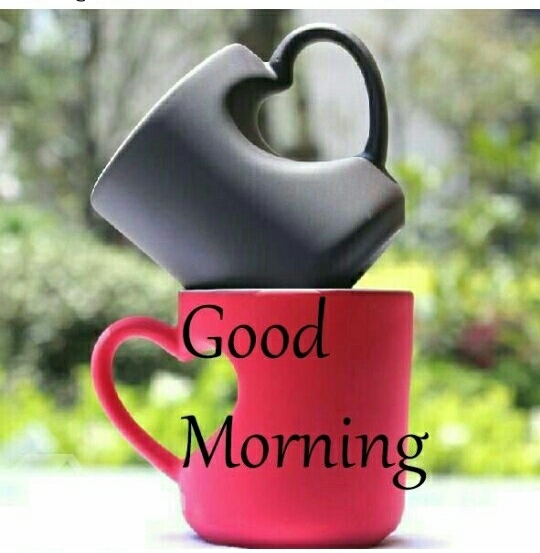 good morning