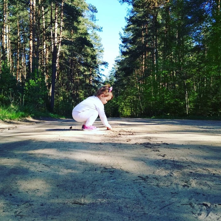 Прогулка по лесу