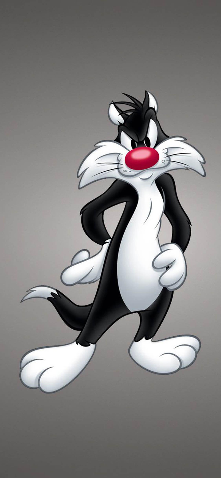 Sylvester
