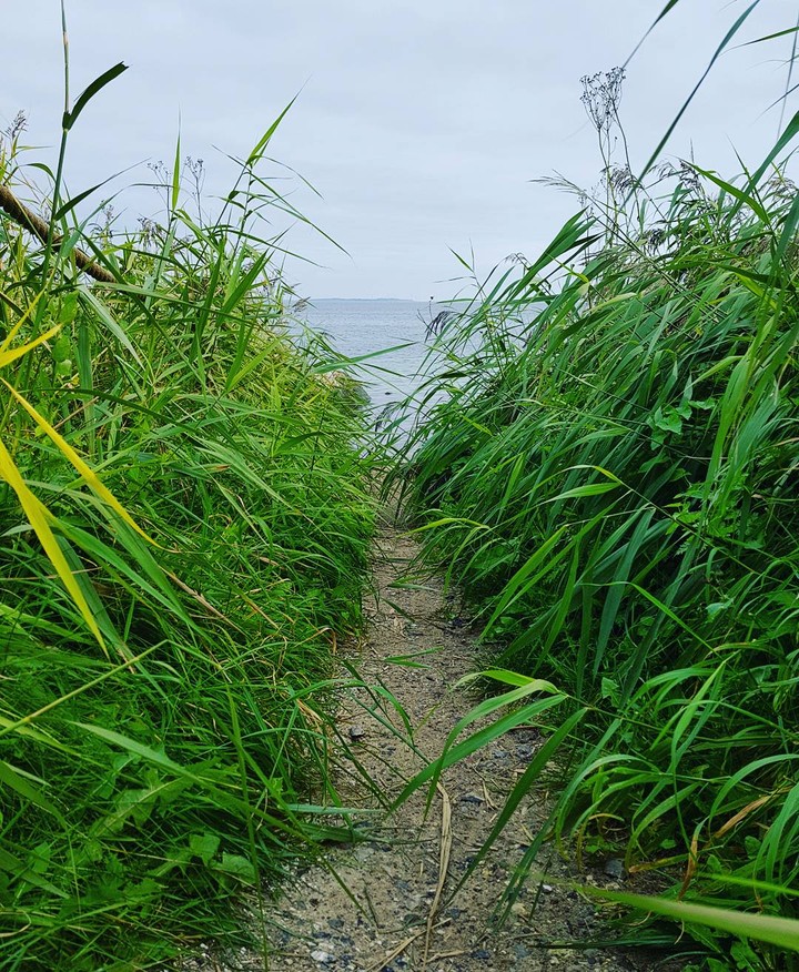 green path