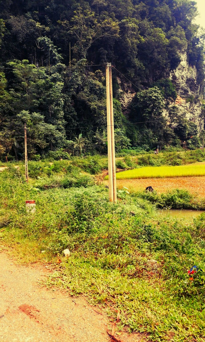 dọc đường