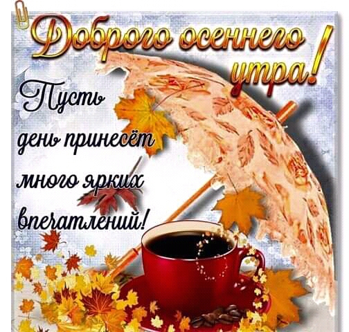 впечатления!