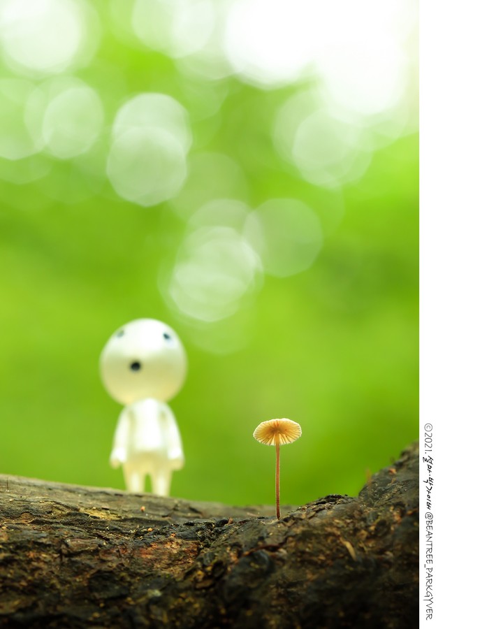 Spirit & Baby mushroom.