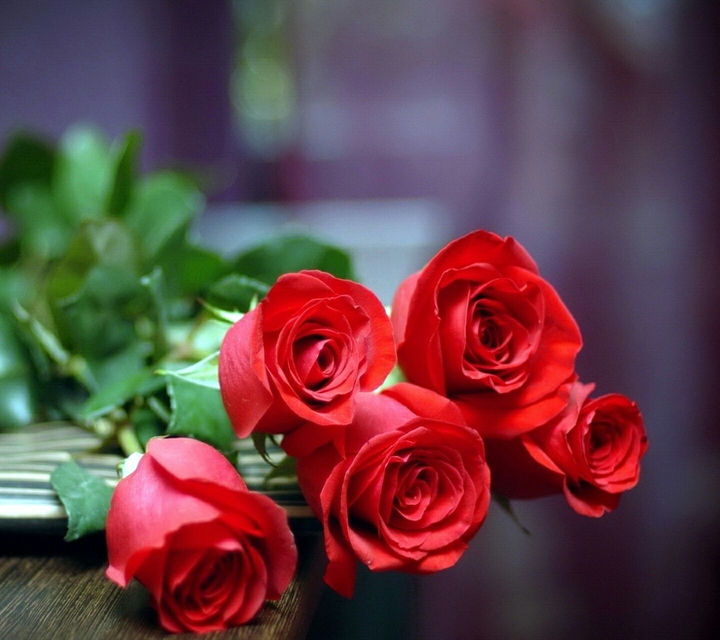 rose