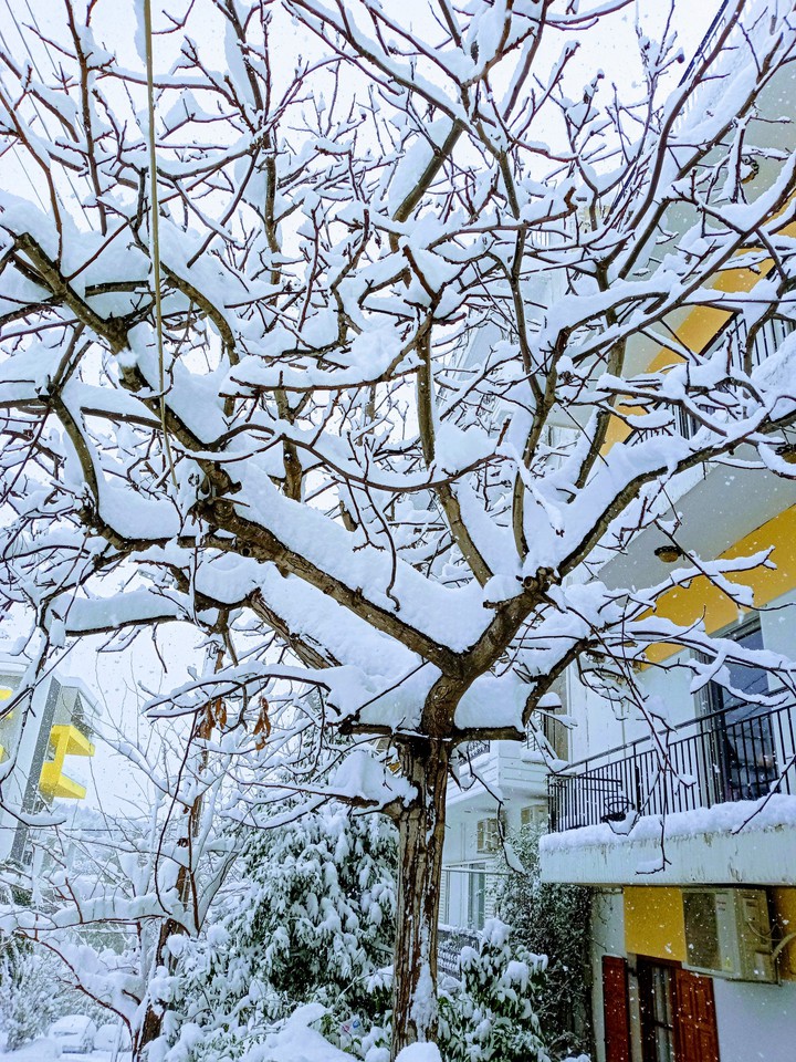 Snow me