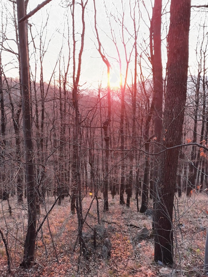 At Dawn