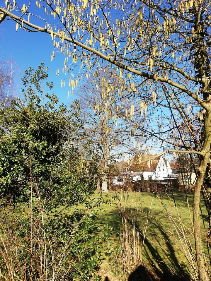 Erste Sonnenstrahlen