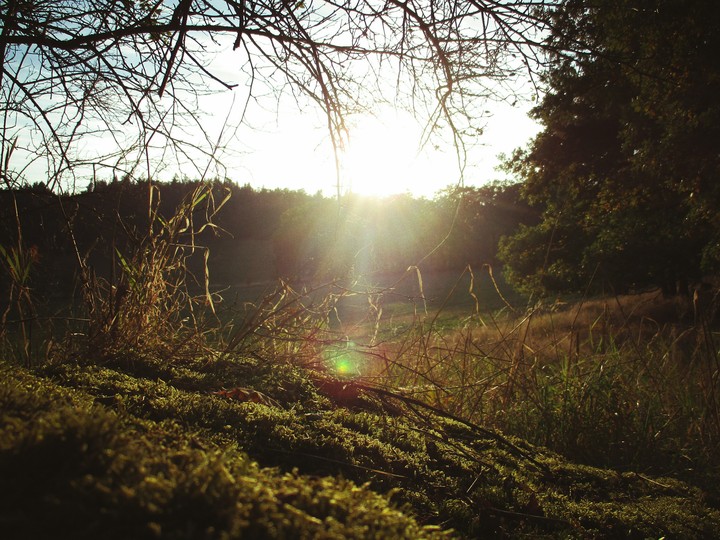 fall