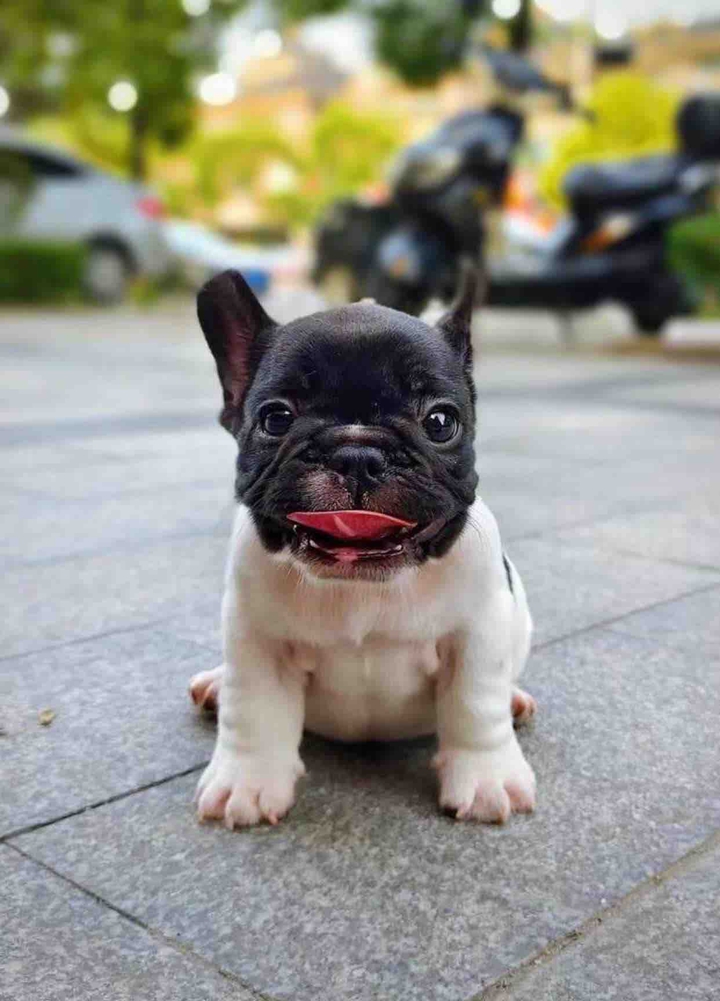 .