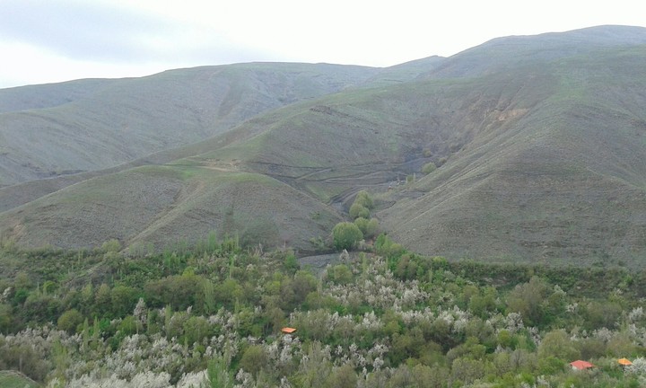 mountains