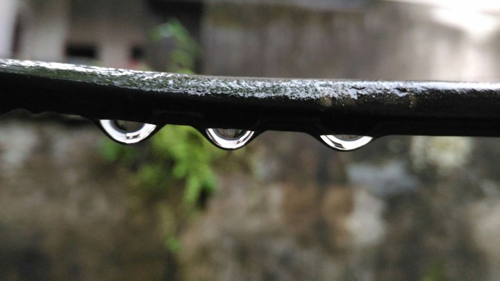 Rain Drop