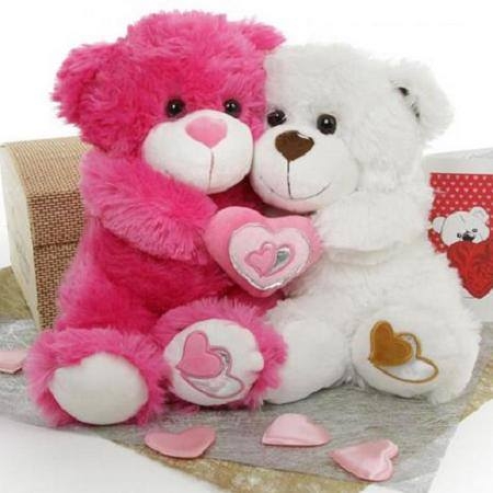 teddy