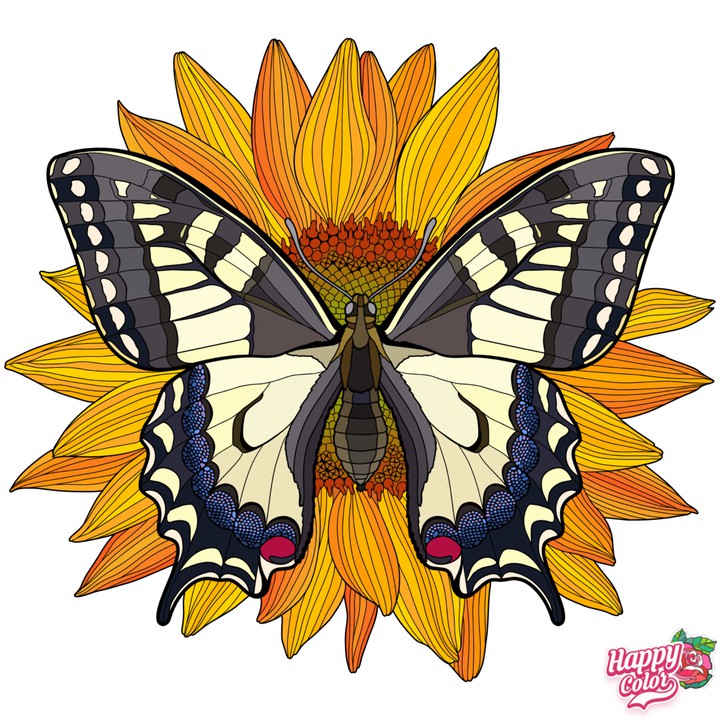 Borboleta