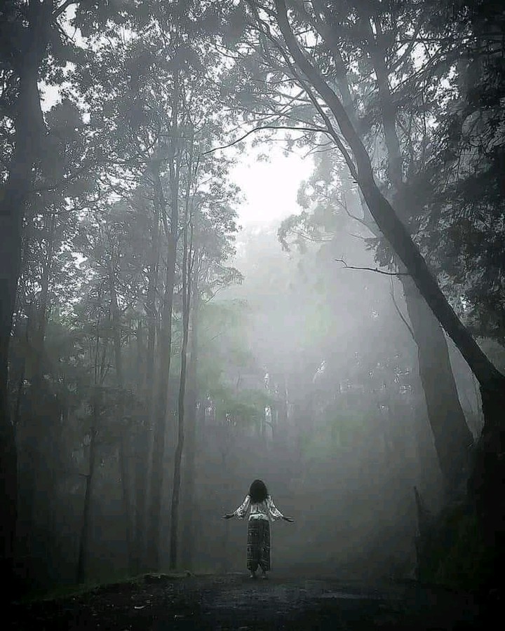Forest Soul..?