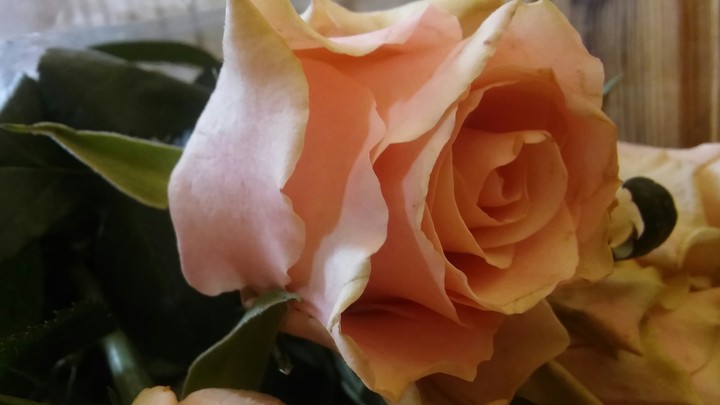 floral