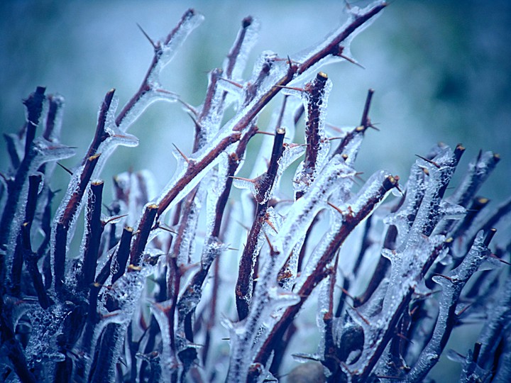 ice