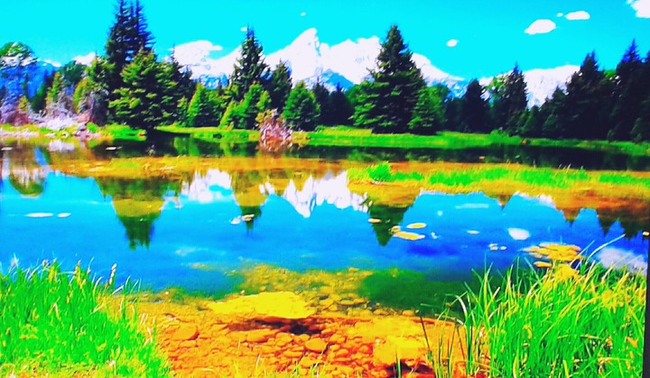 Lago